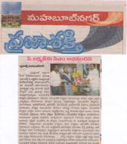 Paper Cutting - 2013 (16)